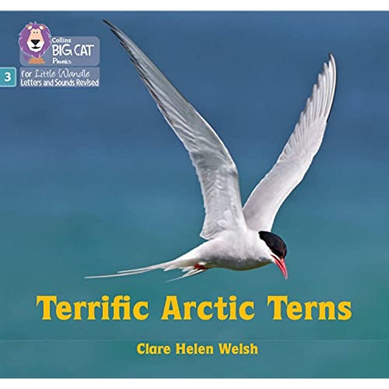 Terrific Arctic Terns