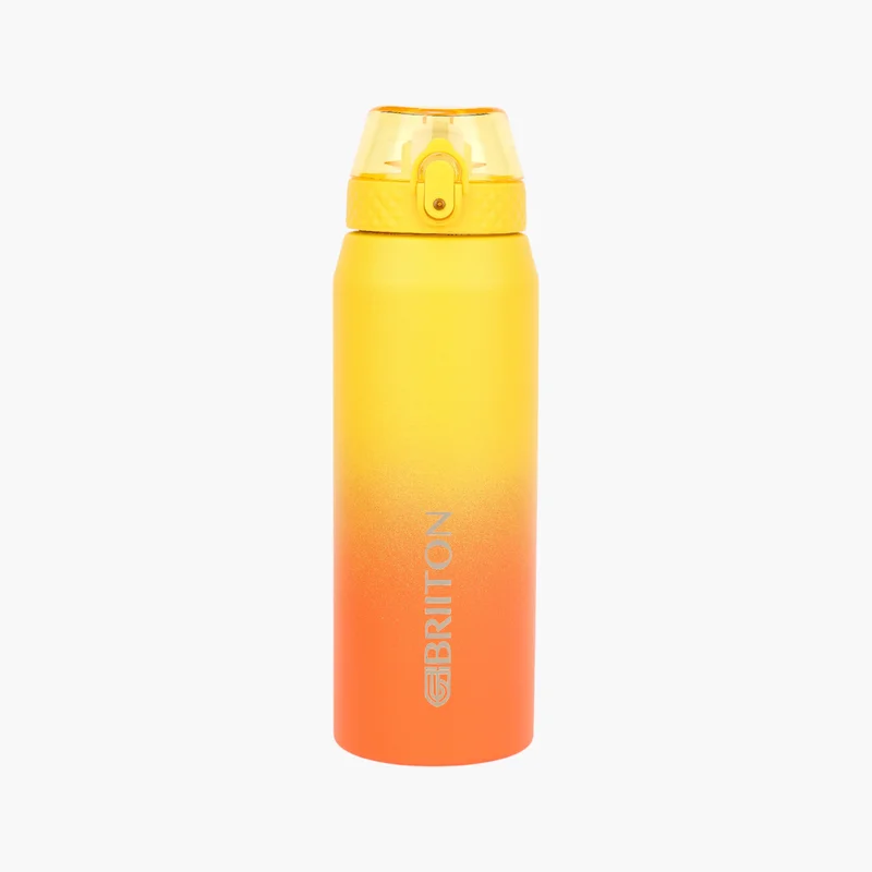 Briiton Briiton Ombre Insulated Water Bottle for Everyone
