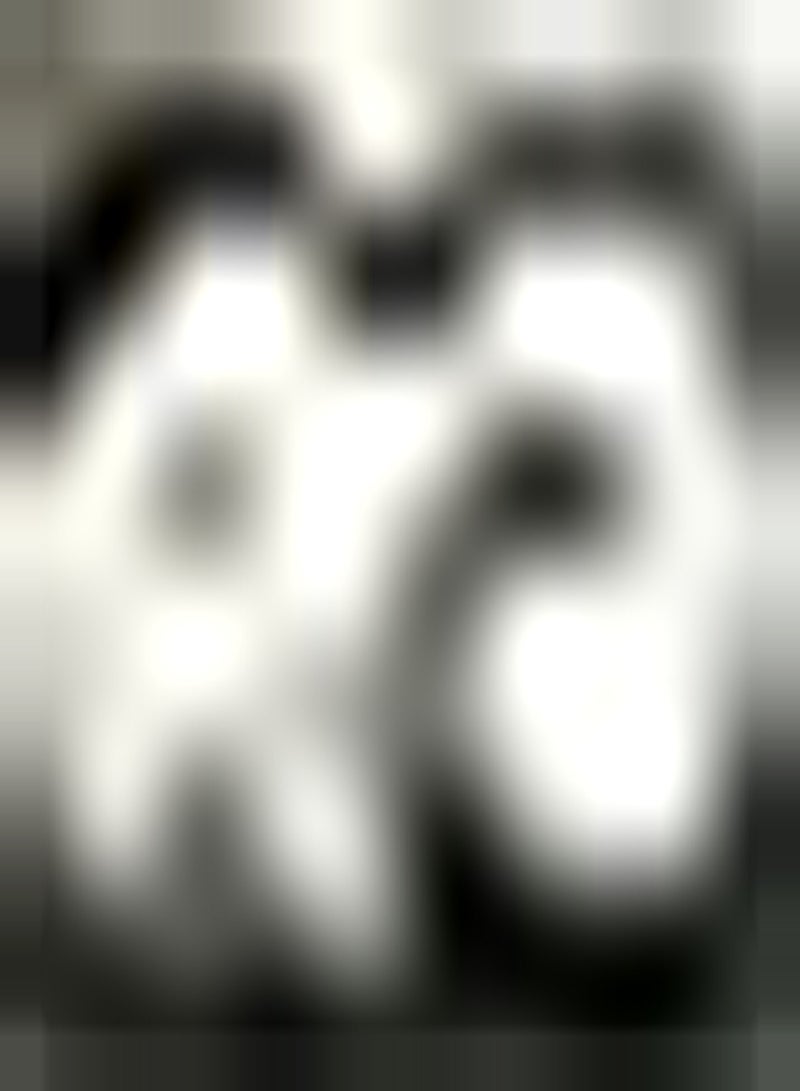 GGOOT 10pcs Witte Ranunculus Bollen Ingemaakte Boterbloem Bollen Heirloom Bloembollen Versieren Tuin Binnenplaats Hoge Sierwaarde - Image 2