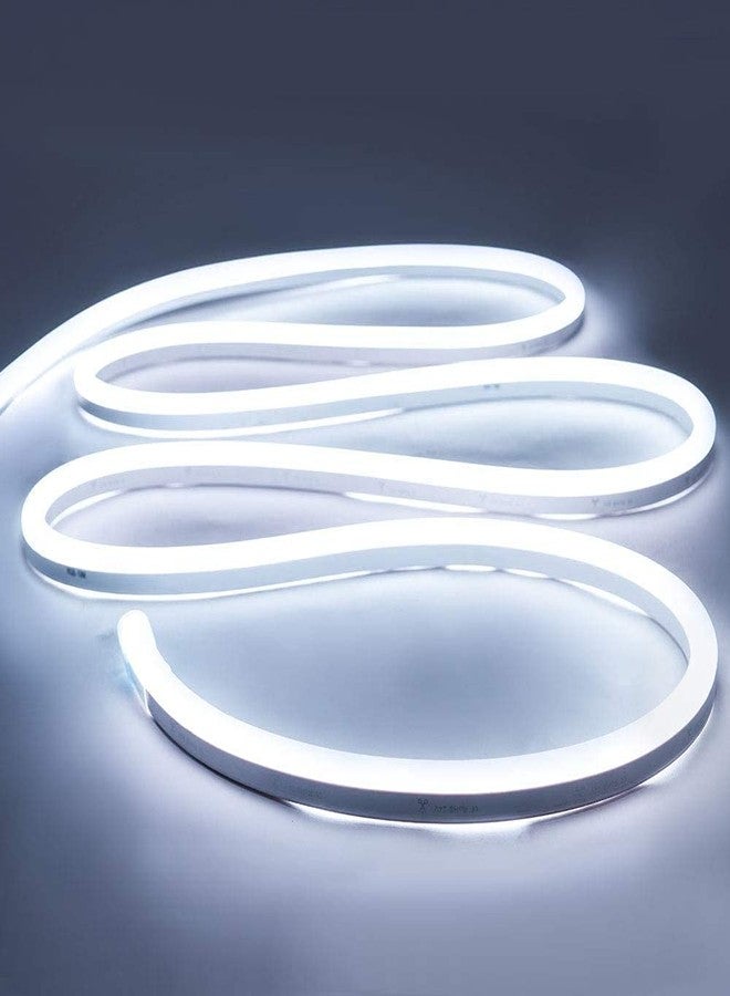 LEDOLUX Neon LED Strip Light 16.4ft/5m 12V DC 600 SMD2835 LEDs Waterproof Flexible LED NEON Light for Indoors Outdoors Decor [ White | No Power Adapter] - Image 2