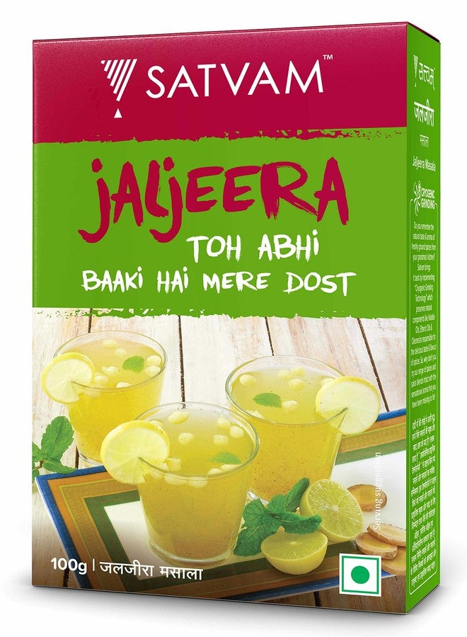 Satvam Jaljeera Masala, 100g | Jaljira Powder - Image 1
