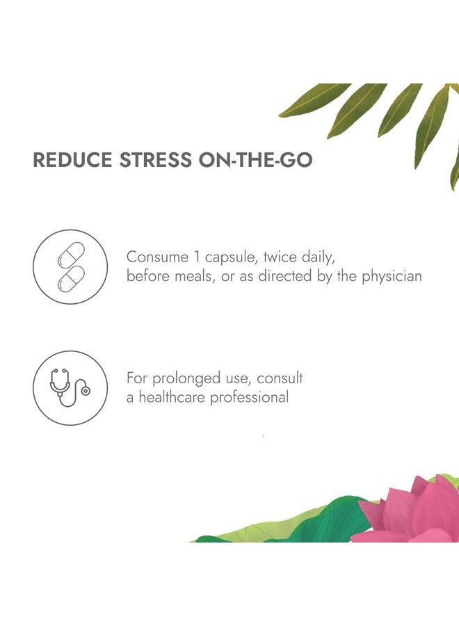 Kapiva كابيفا كبسولات أشواغاندا الذهبية، تم حصادها في اليوم 183، أشواغاندا ناغوري قوية مع الذهب، شيلجيت | يساعد في إدارة التوتر، تحسين الطاقة والقدرة على التحمل | للرجال والنساء (60 كبسولة) - عبوة من 2 - Image 2