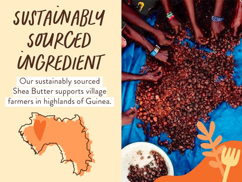 Babo Botanicals Fragrance-Free 2-in-1 Baby Shampoo & Wash - Shea Butter, Calendula & Aloe - EWG Verified, Cruelty-Free, Vegan - Pediatrician Tested - 16 Fl Oz - Image 2