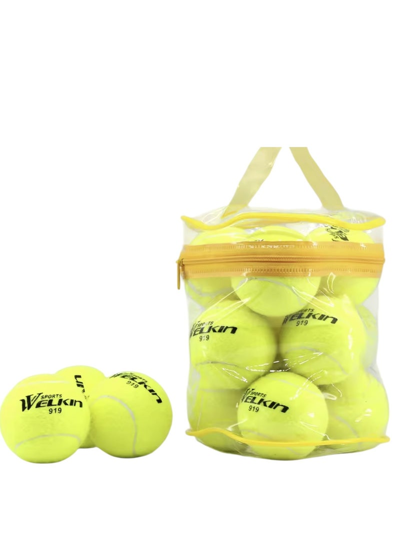 Welkin 12-Piece Tennis Training Ball Set With Carry Bag - Image 1