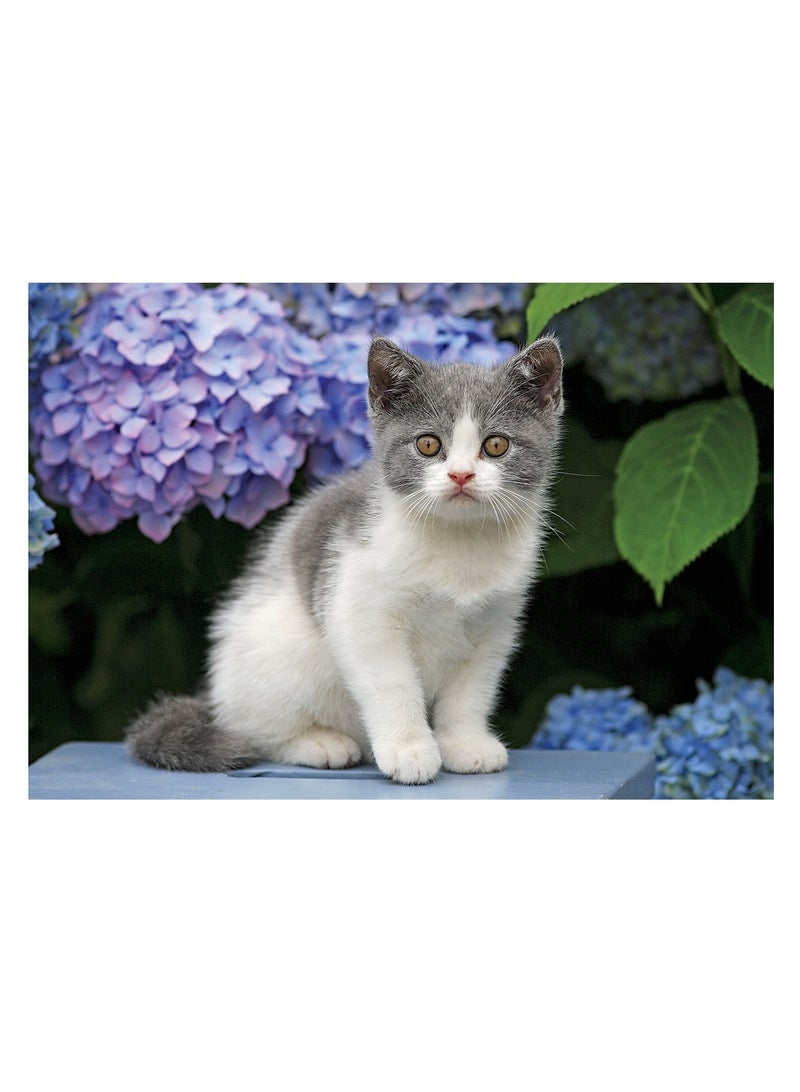 توماكس بازل كيتي 300 قطعة - 30-072 - Image 2