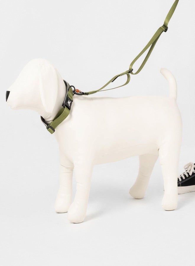 OllyDog طوق OllyDog Flagstaff العاكس المريح، طوق مبطن بالنيوبرين للكلاب، حواف عاكسة للجري الليلي، راحة إضافية للكلاب النشطة (كبير، بنقشة خشب الصبار) - Image 5