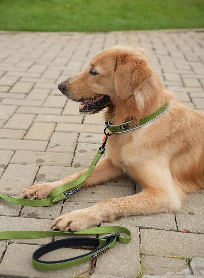 OllyDog طوق OllyDog Flagstaff العاكس المريح، طوق مبطن بالنيوبرين للكلاب، حواف عاكسة للجري الليلي، راحة إضافية للكلاب النشطة (كبير، بنقشة خشب الصبار) - Image 2