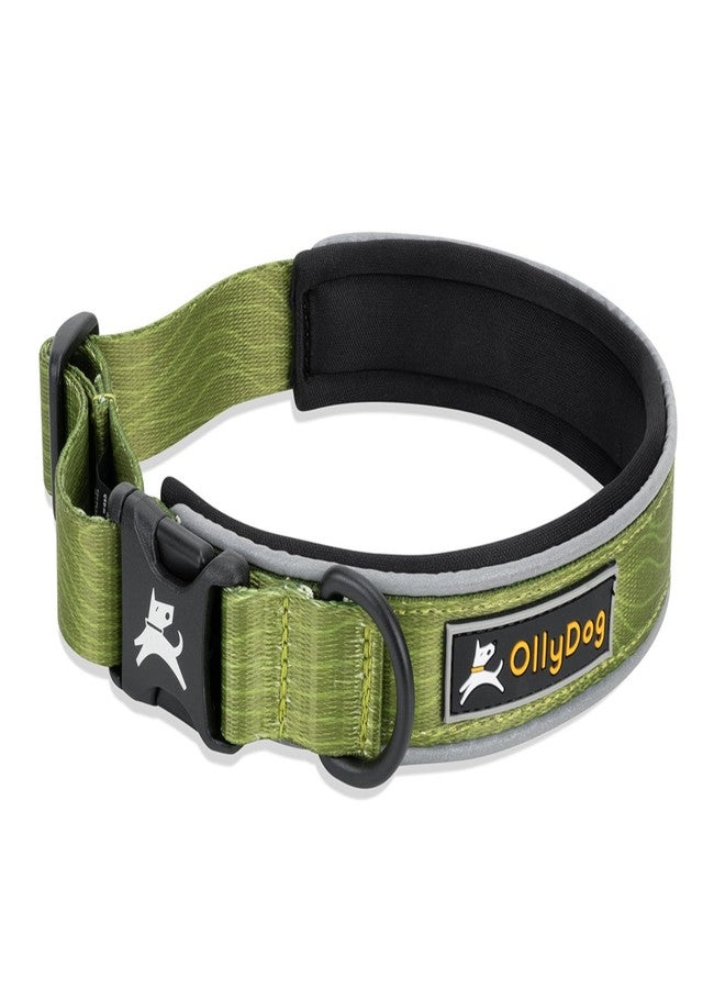 OllyDog طوق OllyDog Flagstaff العاكس المريح، طوق مبطن بالنيوبرين للكلاب، حواف عاكسة للجري الليلي، راحة إضافية للكلاب النشطة (كبير، بنقشة خشب الصبار) - Image 1