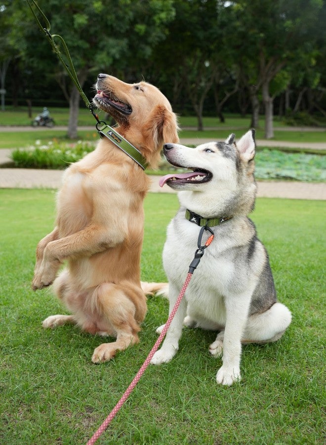 OllyDog طوق OllyDog Flagstaff العاكس المريح، طوق مبطن بالنيوبرين للكلاب، حواف عاكسة للجري الليلي، راحة إضافية للكلاب النشطة (كبير، بنقشة خشب الصبار) - Image 3