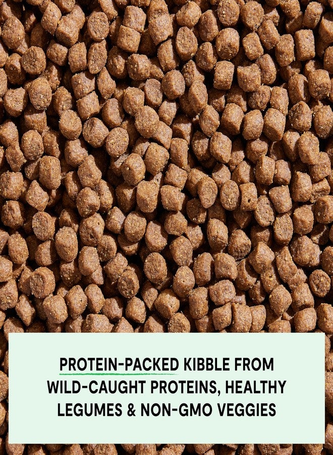 Open Farm طعام جاف للكلاب من أوبن فارم، خالٍ من الحبوب، حبيبات كاملة ومتوازنة، مكونات مستدامة المصدر وأخلاقية، خضراوات غير معدلة وراثيًا وأطعمة فائقة لدعم الصحة العامة، وصفة سمك السلمون البري، كيس 4 أرطال - Image 4