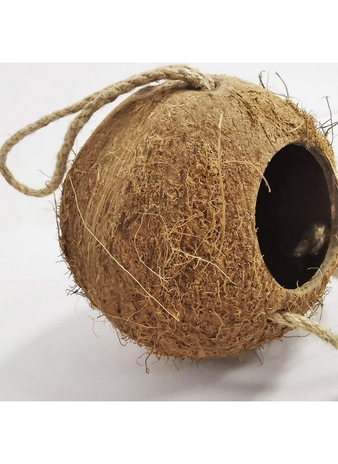 Kathson - kathson 5PCS Bird Hides Coconut Nest with Ladder Perches Hanging Parrot House Cage Natural Coconut Fiber Parakeet Chewing Toys Intelligence Training Rings for Small Budgies Cockatiels - Image 1