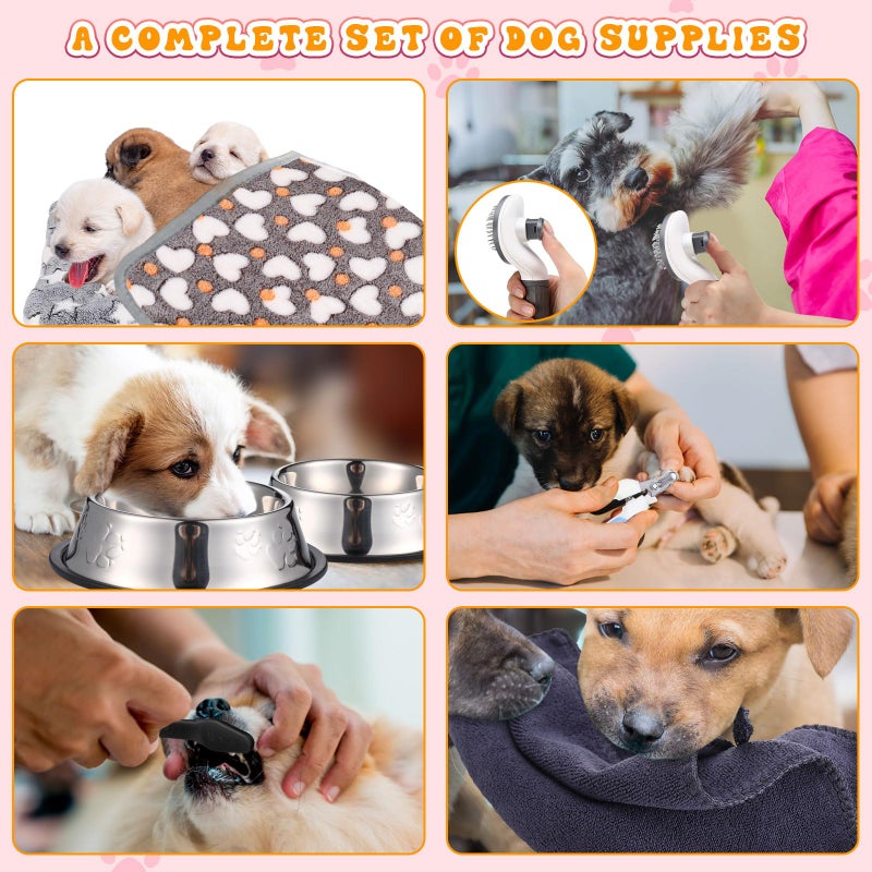 Abbylike 50 Pcs Puppy Supplies Starter Kit for Small Dogs Puppy Essentials Includes Leash, Bowls, Teeth Brushes, Water Bottle, and More Accessories for Dogs Pet Day Welcome Gift(Black) - Image 5