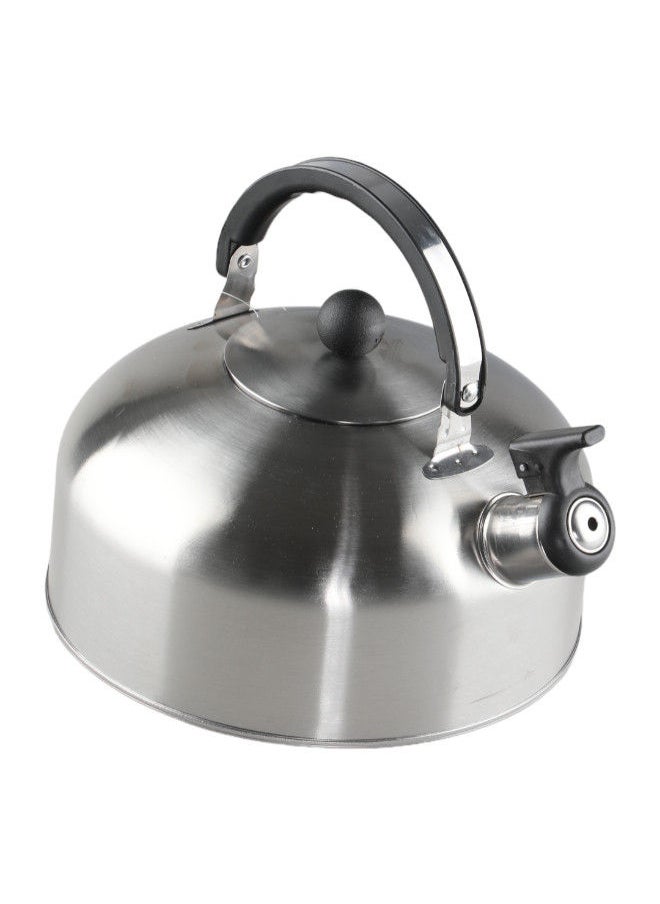 Bister Whistling Tea Kettle Light Weight Size 2.5 Liter Silver - pzsku/Z10CDF8CC0D79F13A6FB4Z/45/_/1688497301/6cdb2eb2-af1b-4b94-8557-b5a787447ec9