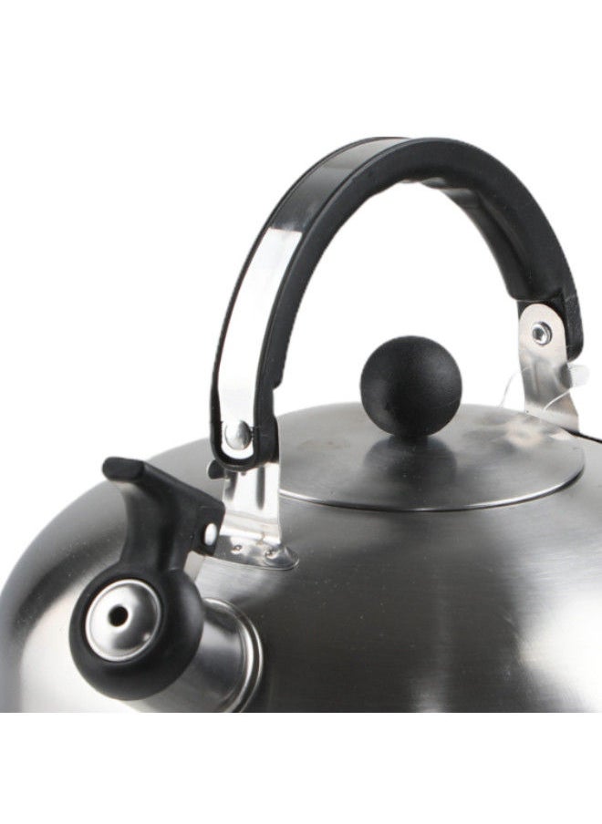 Bister Whistling Tea Kettle Light Weight Size 2.5 Liter Silver - pzsku/Z10CDF8CC0D79F13A6FB4Z/45/_/1688497302/7e7db9ae-e792-43ea-8df2-d2625cfb224c