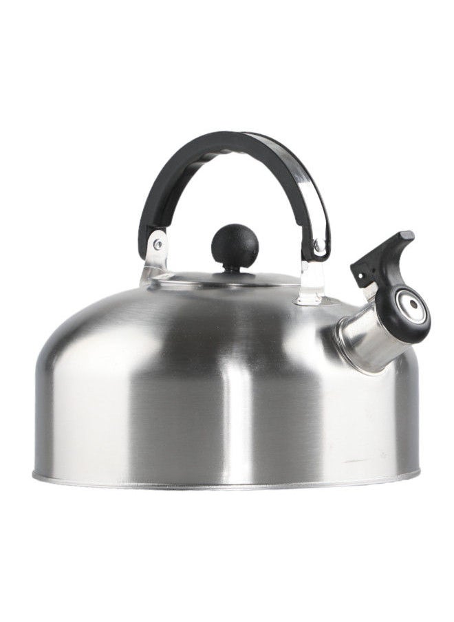 Bister Whistling Tea Kettle Light Weight Size 2.5 Liter Silver - pzsku/Z10CDF8CC0D79F13A6FB4Z/45/_/1688497302/9ec43ee9-ce1e-4623-837a-efc6319fcc5b