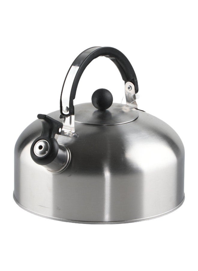 Bister Whistling Tea Kettle Light Weight Size 2.5 Liter Silver - pzsku/Z10CDF8CC0D79F13A6FB4Z/45/_/1688497303/9dd9f7c1-caf7-4e3f-a84d-32ccc33746aa