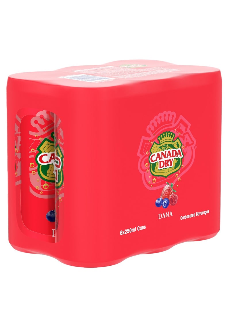 Canada Dry Dana Soda Can 6 x 250ml - Image 1