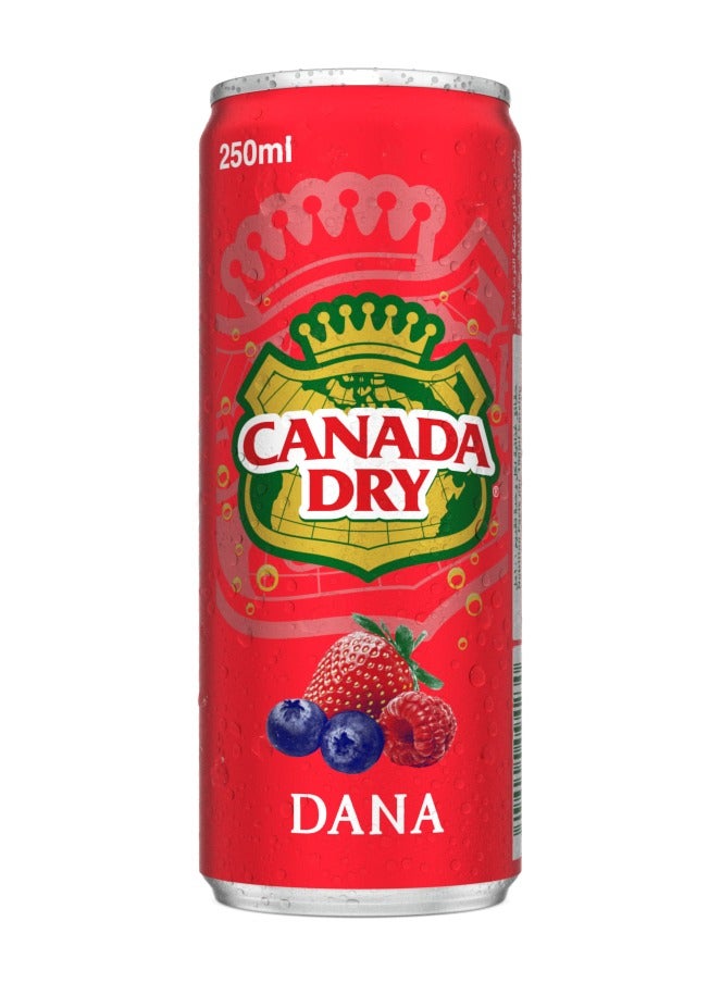 Canada Dry Dana Soda Can - Image 2