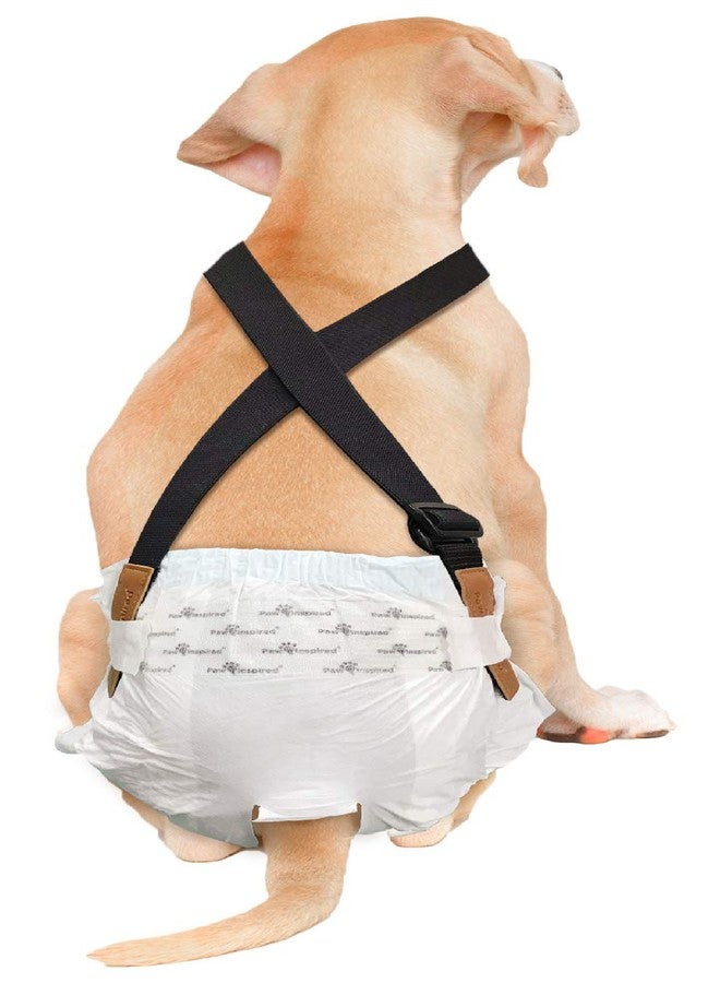Paw Inspired Dog Diaper Suspenders with Velcro Fasteners | Stretchy Adjustable Suspenders for Female and Male Disposable and Washable Diapers | Fits Small, Medium and Large Size Pets (S/M, Black) - Image 1