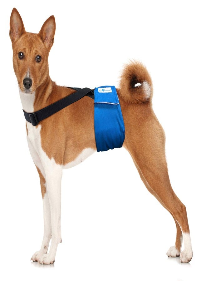 Paw Inspired Dog Diaper Suspenders with Velcro Fasteners | Stretchy Adjustable Suspenders for Female and Male Disposable and Washable Diapers | Fits Small, Medium and Large Size Pets (S/M, Black) - Image 3
