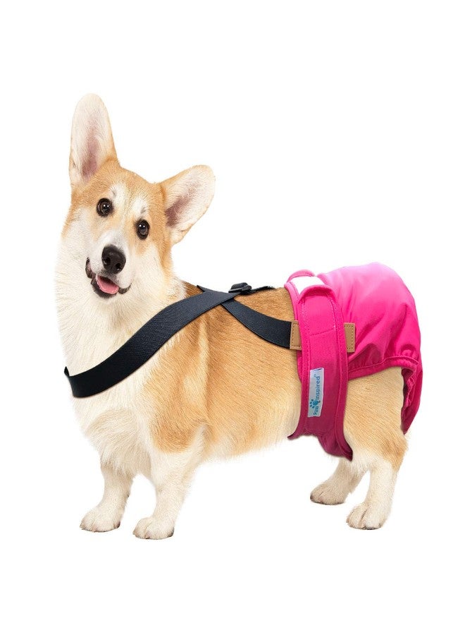 Paw Inspired Dog Diaper Suspenders with Velcro Fasteners | Stretchy Adjustable Suspenders for Female and Male Disposable and Washable Diapers | Fits Small, Medium and Large Size Pets (S/M, Black) - Image 2