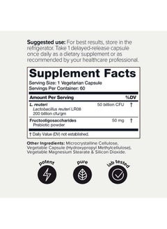 Toniiq Toniiq 50 Billion CFU Lactobacillus Reuteri Probiotic 50mg per Serving - L Reuteri Probiotics - Highest CFU Count Lactobacillus Reuteri Probiotic - 60 Vegetarian Capsules - 60 Servings  - Image 2