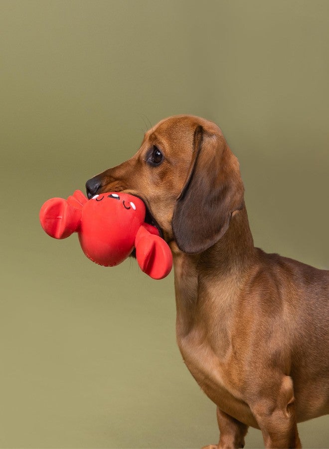 Fringe Studio Latex Dog Toy, Snappy and Happy, Pet Shop Collection (366098) - Image 3
