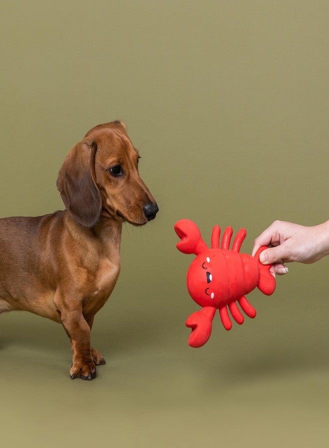 Fringe Studio Latex Dog Toy, Snappy and Happy, Pet Shop Collection (366098) - Image 4
