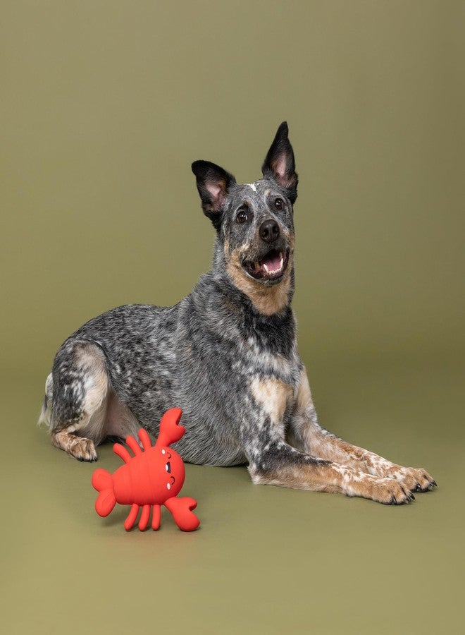 Fringe Studio Latex Dog Toy, Snappy and Happy, Pet Shop Collection (366098) - Image 2