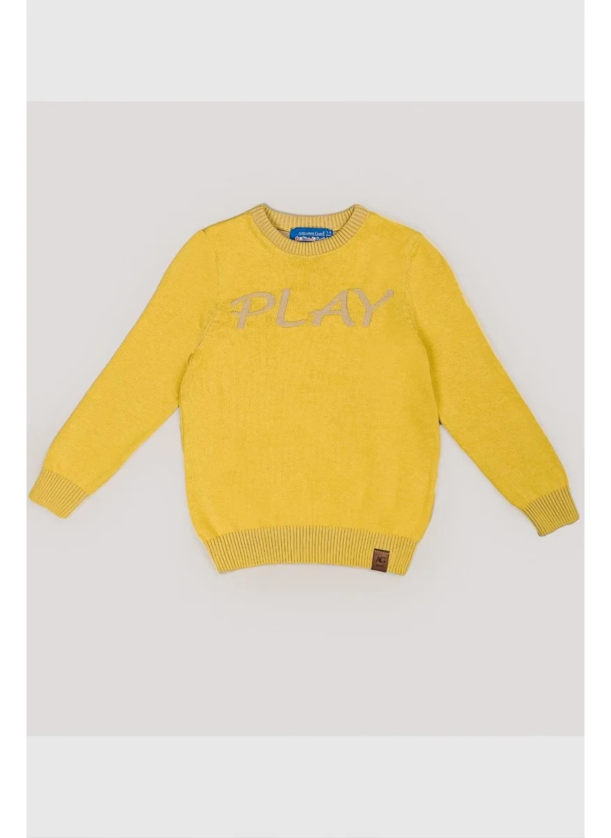 الكسندر جاردي Kids Crew Neck Sweater (C21-18345)