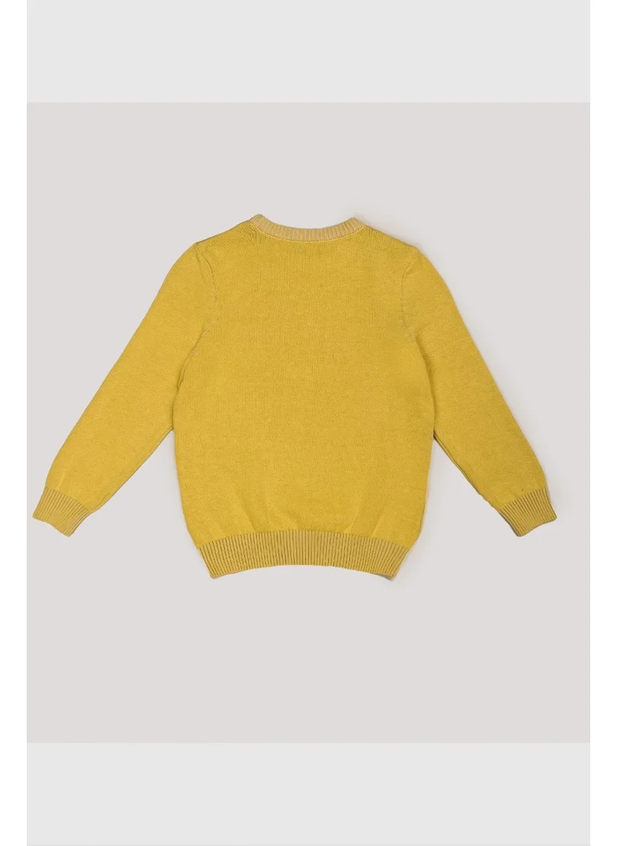 Alexander Gardi Kids Crew Neck Sweater (C21-18345)