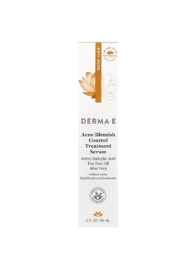 derma-e DERMA E, Acne Blemish Control Treatment Serum, 2 fl oz (60 ml)  - Image 2