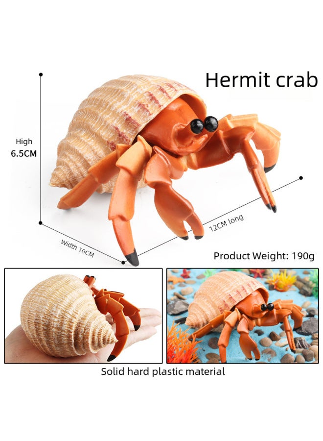 Realistic Animal Models Ocean Crabs Salty Crabs Hermit Sally Three-point Plastic Cognitive Toys-Color:M-3029 Empty Ridge Nautilus - Image 3