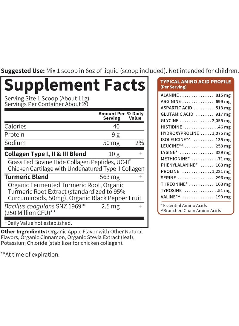 Garden of Life Multi-Sourced Collagen Powder, Apple Cinnamon, Collagen Peptides with Turmeric Powder, Supplement Drink Mix, 20 Servings - Image 2