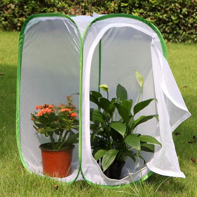 RESTCLOUD 3-Pack Insect and Butterfly Habitat Cage Terrarium Pop-up Butterfly Enclosure (3 x 15.7 x 15.7 x 23.6") - Image 3