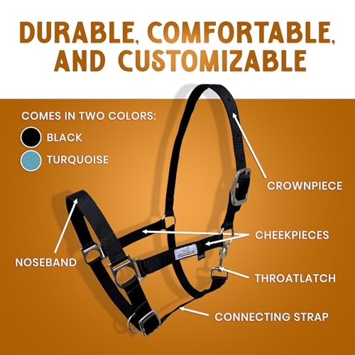 Prairie Horse Supply Nylon Horse Halter, Black - 1 Inch Wide, Horse Halter Adjustable, Horse Harness, Pony Halter, Horse Equipment and Supplies - Ideal for Equestrian Use - Image 2