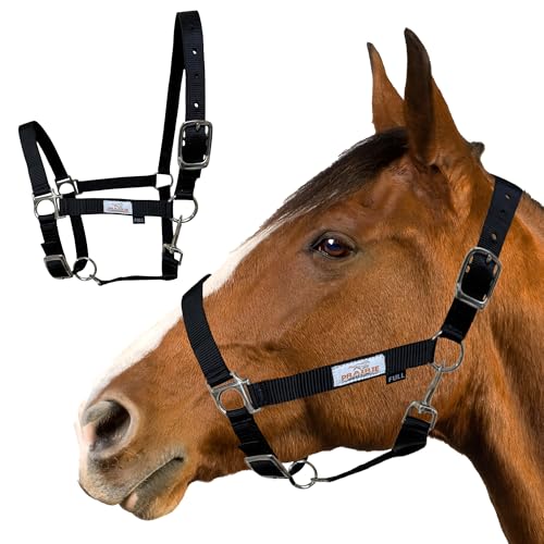 Prairie Horse Supply Nylon Horse Halter, Black - 1 Inch Wide, Horse Halter Adjustable, Horse Harness, Pony Halter, Horse Equipment and Supplies - Ideal for Equestrian Use - Image 1