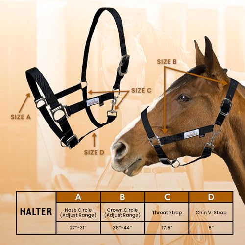 Prairie Horse Supply Nylon Horse Halter, Black - 1 Inch Wide, Horse Halter Adjustable, Horse Harness, Pony Halter, Horse Equipment and Supplies - Ideal for Equestrian Use - Image 5