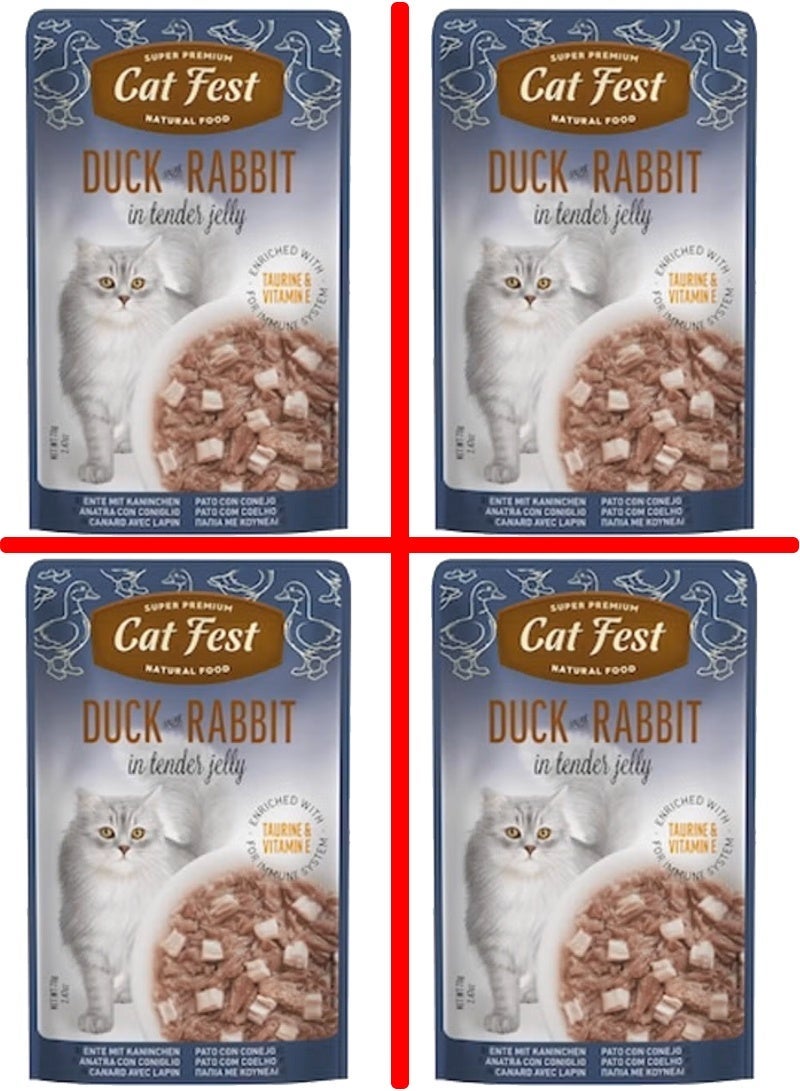 Cat Fest Duck with Rabbit in Tender Jelly Cat Food -4 Pouch, each pouch size 70g - Image 1