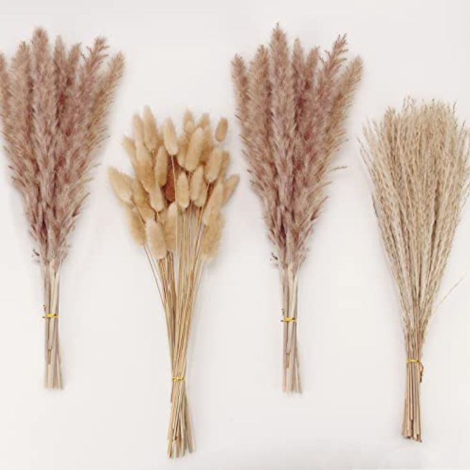 NATURAL DRIED PAMPAS GRASS DECOR BROWN PAMPAS GRASS BUNNY TAILS DRIED FLOWERS REED GRASS BOUQUET FOR WEDDING BOHO FLOWERS HOME TABLE DECOR FALL DECORRUSTIC FARMHOUSE PARTY 100 IN TOTAL
