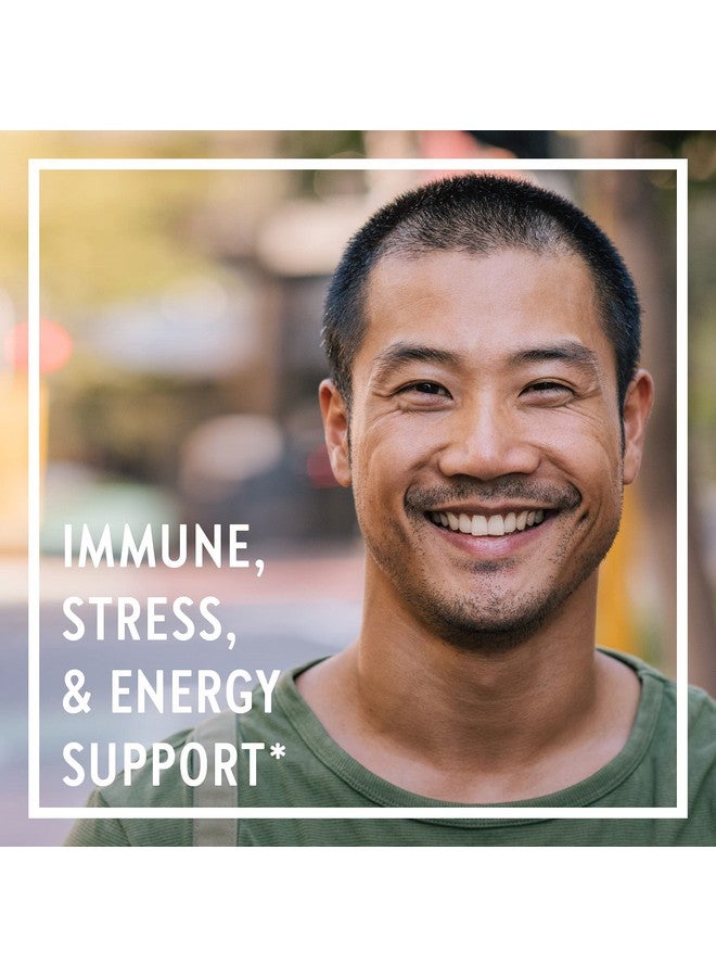 New Chapter Men’s Multivitamin + Immune, Energy & Stress Support - Every Man’s One Daily with Fermented Probiotics & Whole Foods + Vitamin D3 + Vitamin B6 & B12 + Organic Non-GMO Ingredients - 24 ct - Image 3