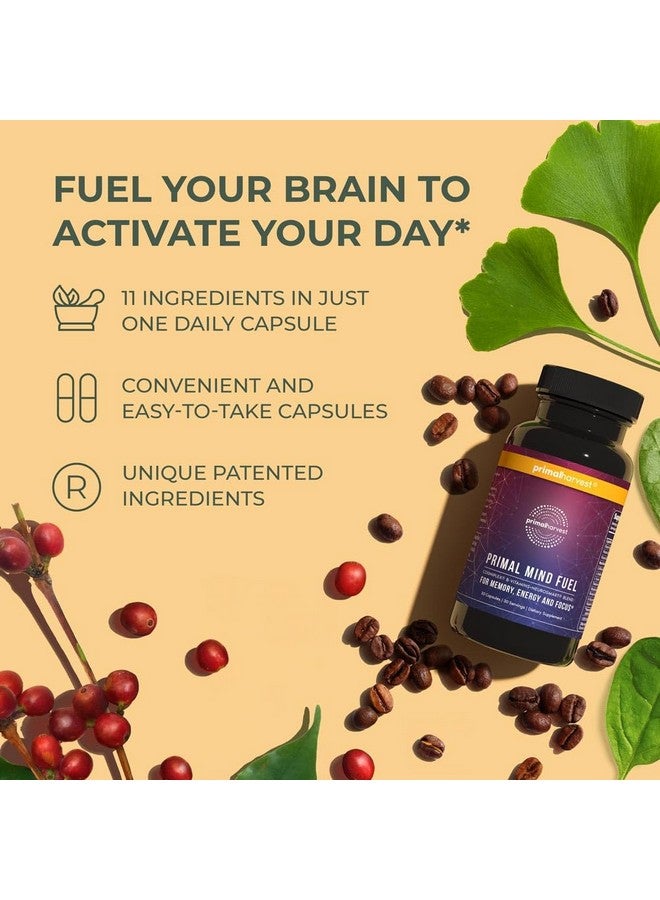 Primal Harvest 2 Pack, Primal Mind Fuel Brain Booster for Focus, Energy, Clarity, Memory Brain Health 30 Capsules Nootropics Brain Support Supplement for Men and Women - Image 5
