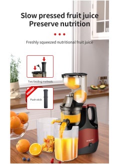 sokany Slow Masticating Juicer, Slow juicer, Fruit/Vegetable Juicer, Cold Press Juicer with High Output  - Image 4