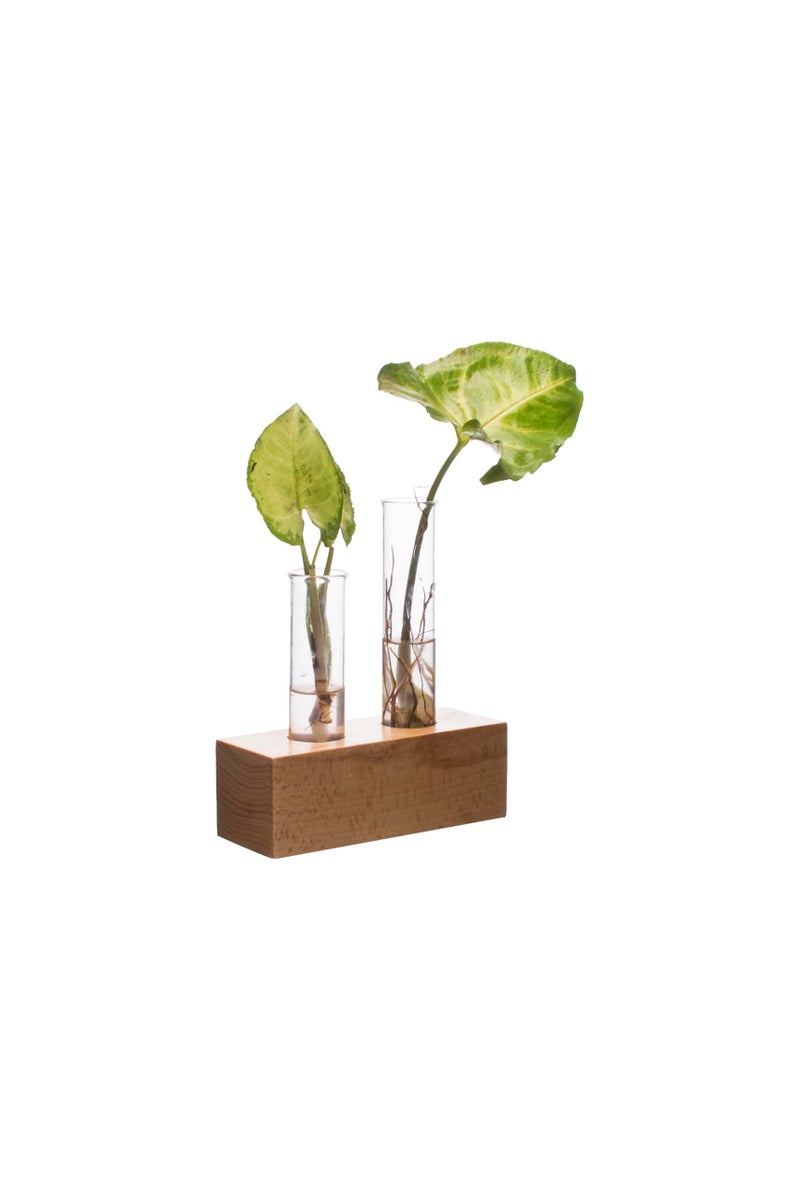 Labzio Hand-Blown Borosilicate Glass Flower Vase with 2 Test Tubes in Wooden Block Stand – Elegant Diwali Home Decor, Festive Table Centerpiece, Pooja Room & Living Room Decoration - Image 3