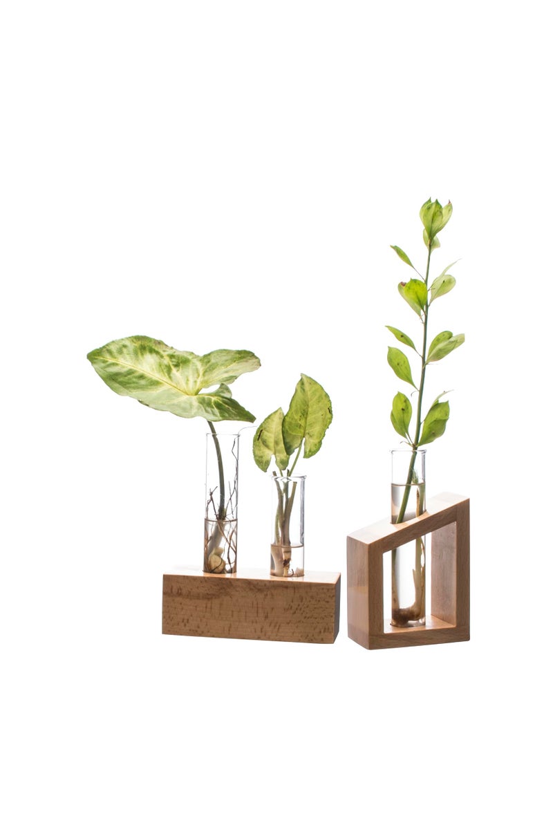 Labzio Hand-Blown Borosilicate Glass Flower Vase with 2 Test Tubes in Wooden Block Stand – Elegant Diwali Home Decor, Festive Table Centerpiece, Pooja Room & Living Room Decoration - Image 4