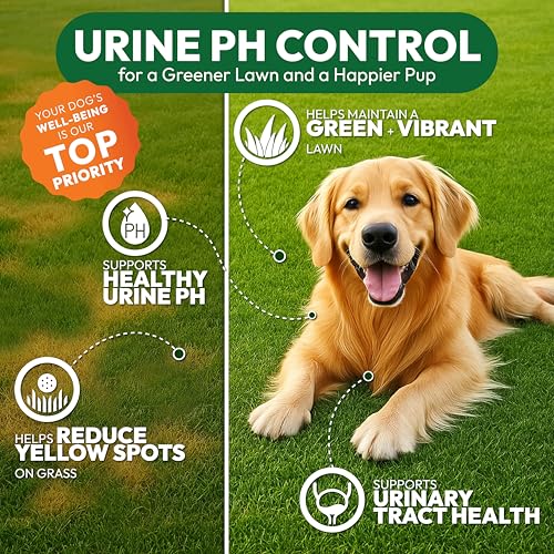 Petsology Dog Urine Neutralizer for Lawn - 170 Green Lawn Chews for Dogs - Pee Grass Burn Spot Saver Caused by Dog Urine with Probiotics & Digestive Enzymes - Advanced Gut Health Supplement, Rocks - Image 4