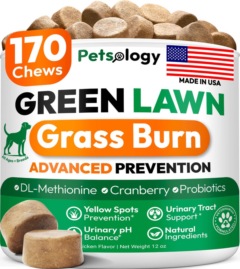 Petsology Dog Urine Neutralizer for Lawn - 170 Green Lawn Chews for Dogs - Pee Grass Burn Spot Saver Caused by Dog Urine with Probiotics & Digestive Enzymes - Advanced Gut Health Supplement, Rocks - Image 1