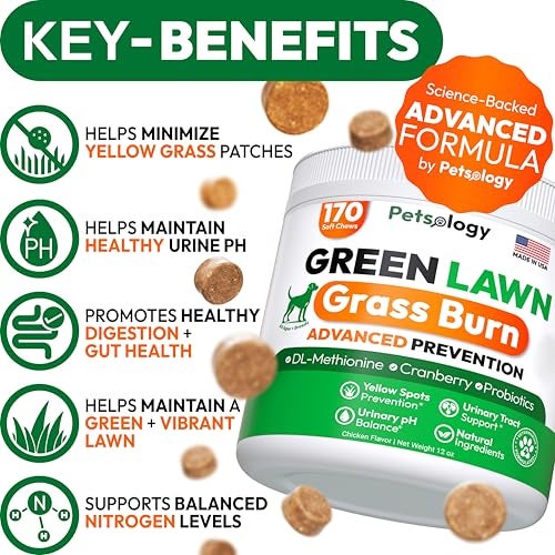 Petsology Dog Urine Neutralizer for Lawn - 170 Green Lawn Chews for Dogs - Pee Grass Burn Spot Saver Caused by Dog Urine with Probiotics & Digestive Enzymes - Advanced Gut Health Supplement, Rocks - Image 2