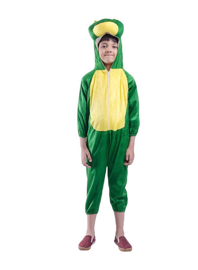 Frog Water Animal Fancy Dress Costume 4 - 6 Years - Image 1