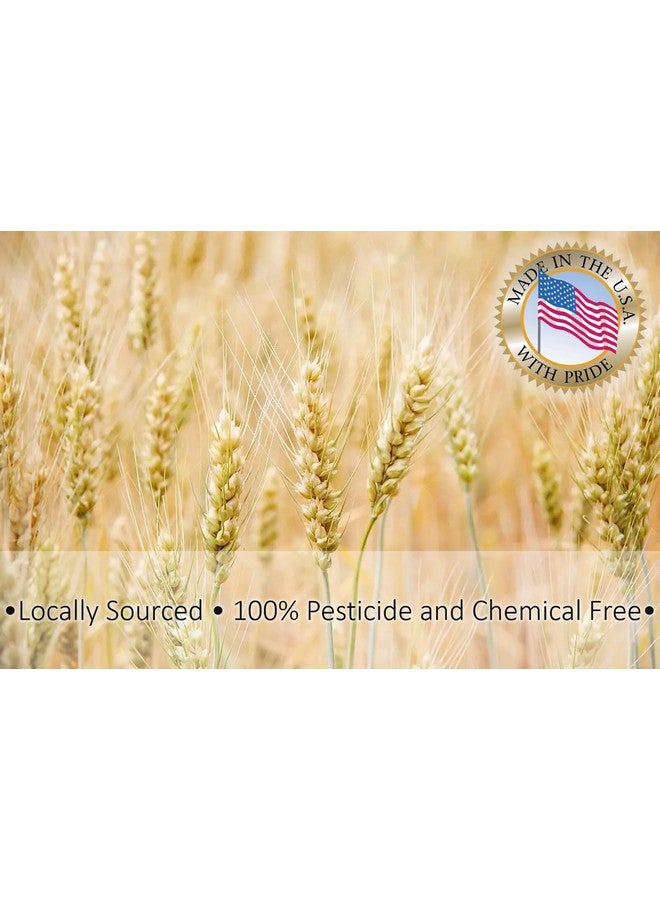 3 lb. Wheat Bran Bedding/Gutload for Mealworms and Superworms by Five-Star Feeders, 48 Ounces - Image 2